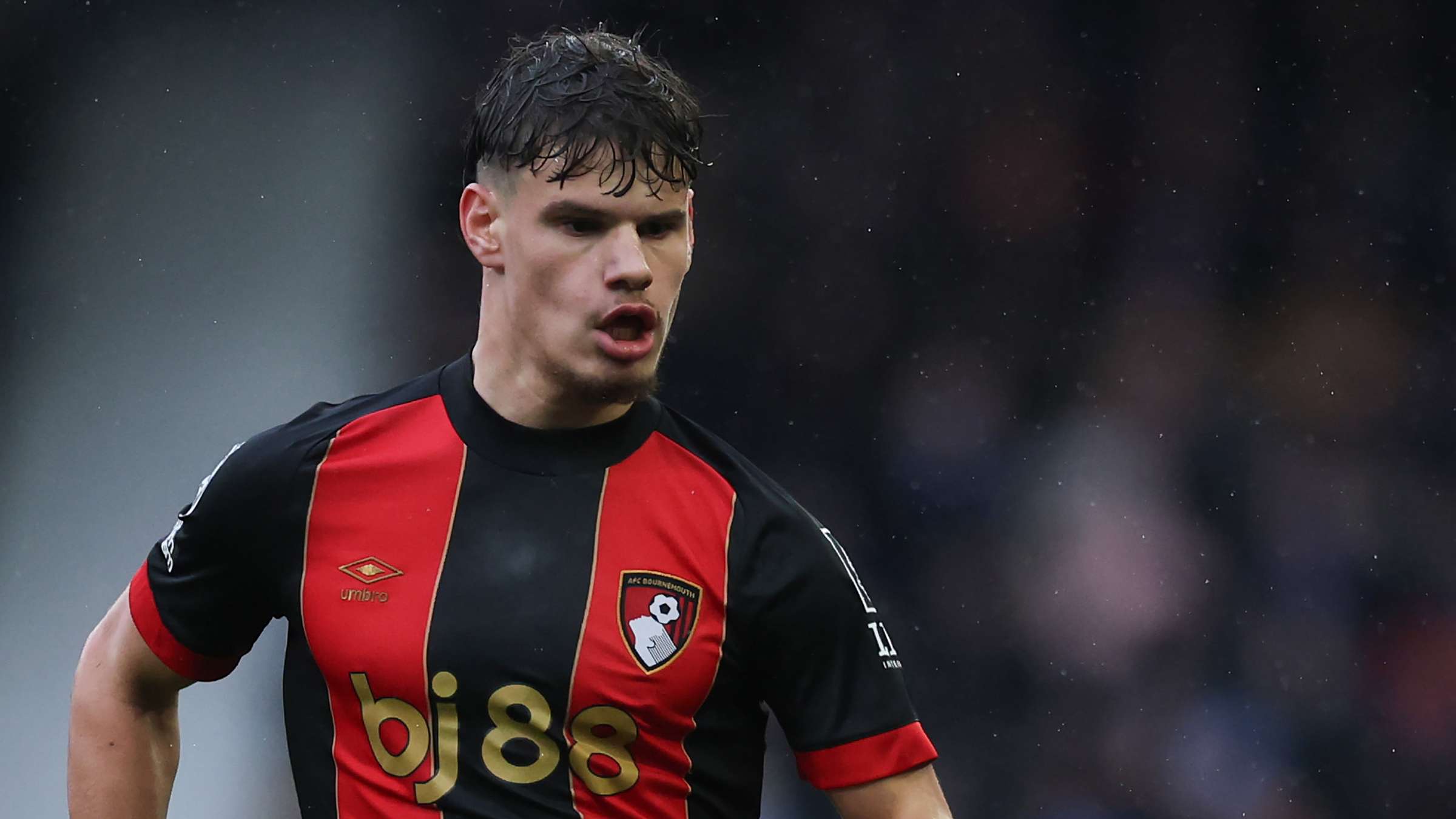 这正是他们 这正是他们