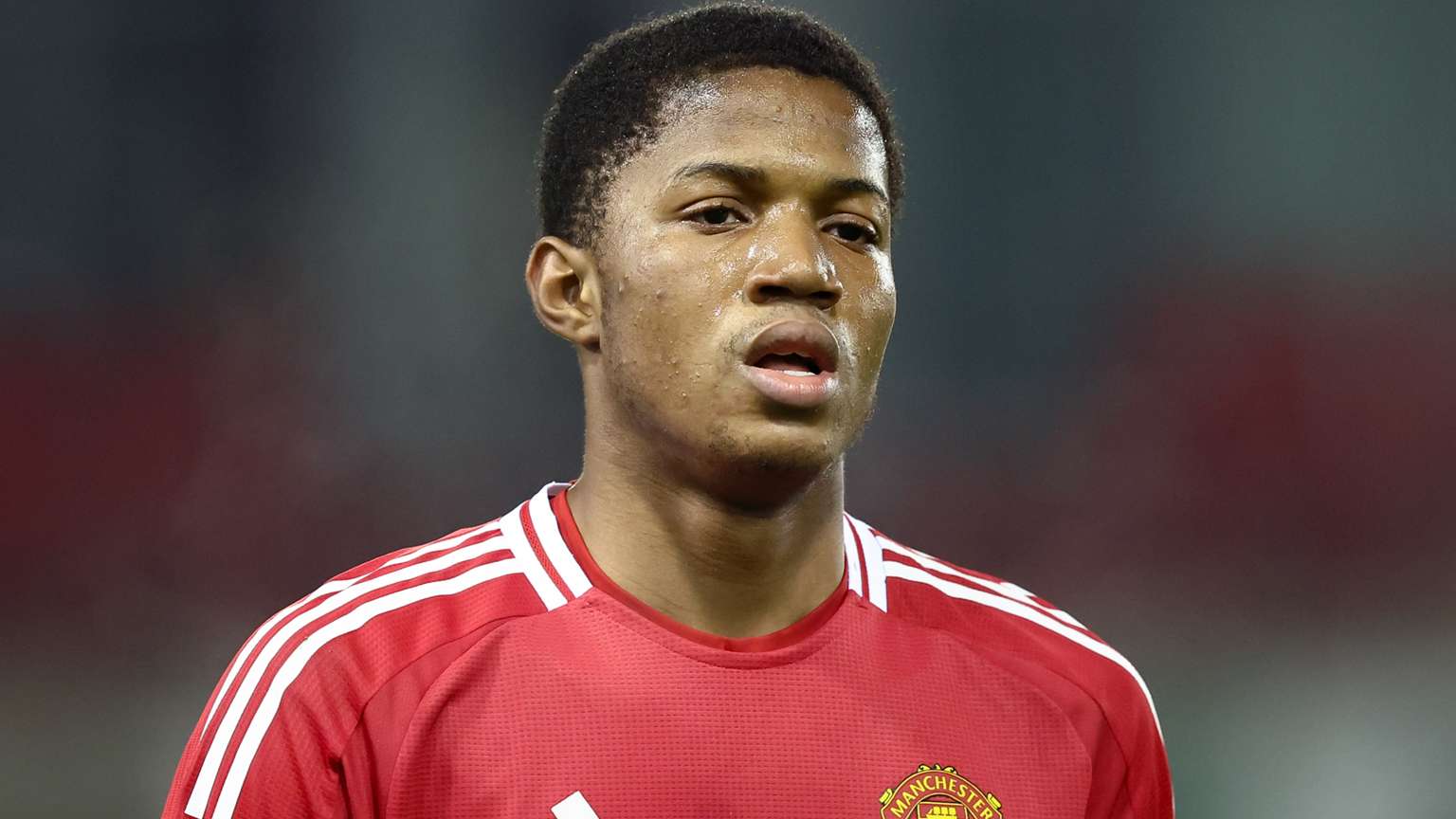 同国家的球 同国家的球